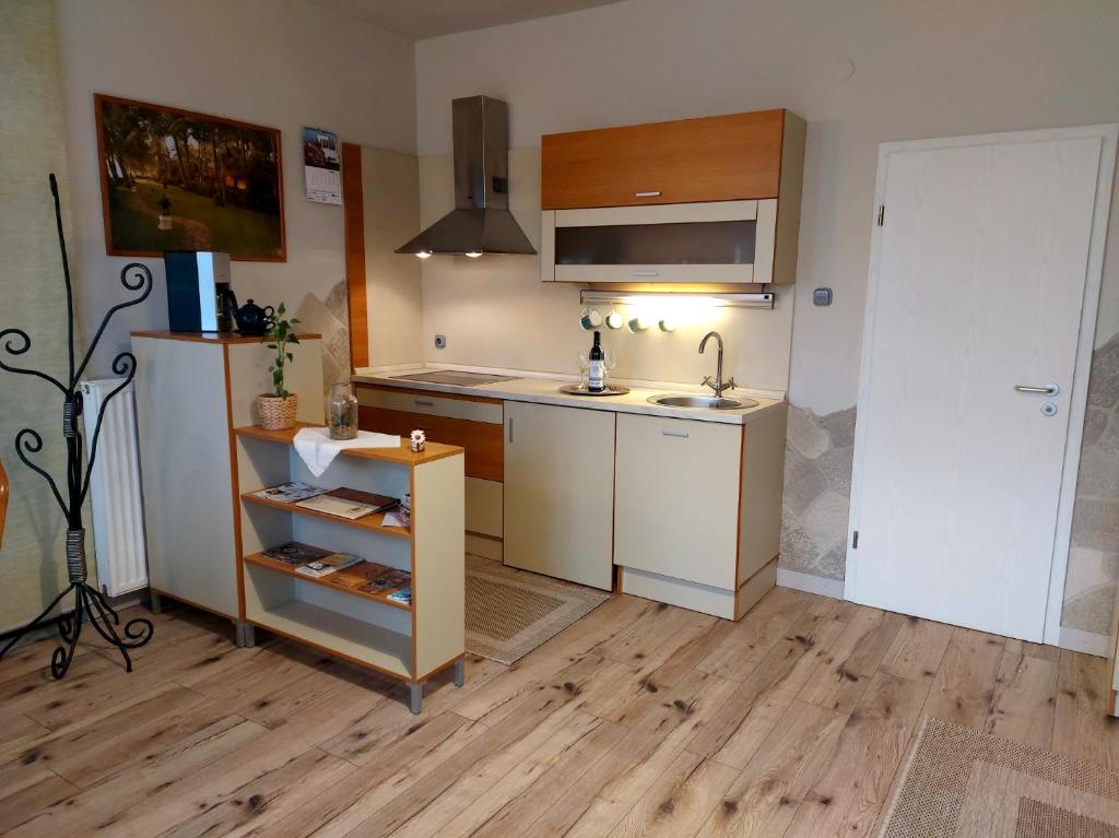Kuchyňa alebo kuchynka v ubytovaní A Mecsek Gyöngye Apartmanhaz