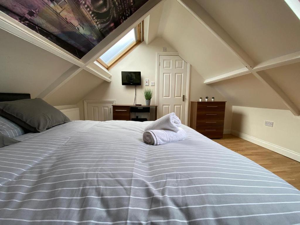 LARGE 8 BEDROOM HOUSE CLOSE TO CITY CENTRE, AMENITIES TRANSPORT LINKS