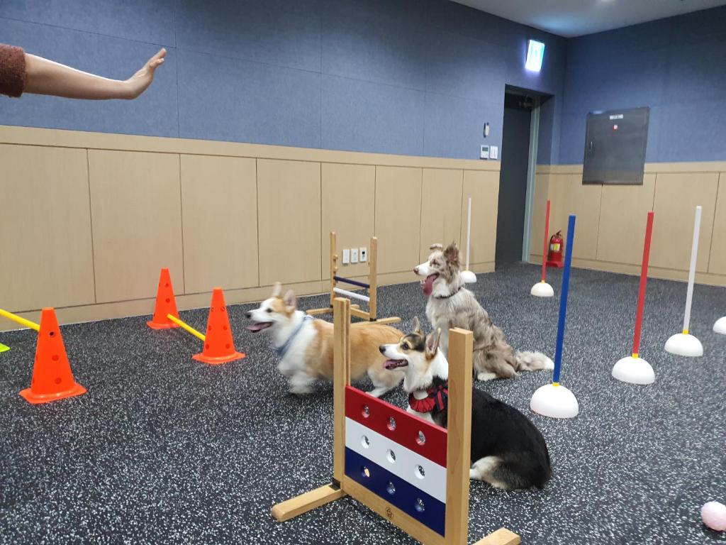 Dětský klub v ubytování Hi Jeju Hotel