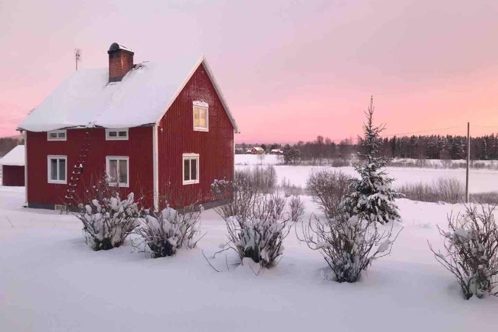 COZY Home with LAKE view-free WiFi - free SAUNA v zimě