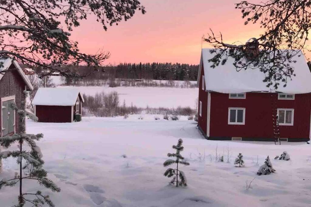 COZY Home with LAKE view-free WiFi - free SAUNA v zimě