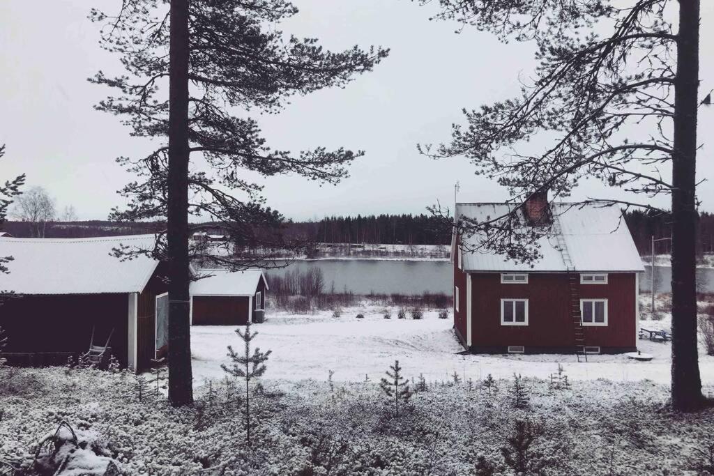 COZY Home with LAKE view-free WiFi - free SAUNA v zimě
