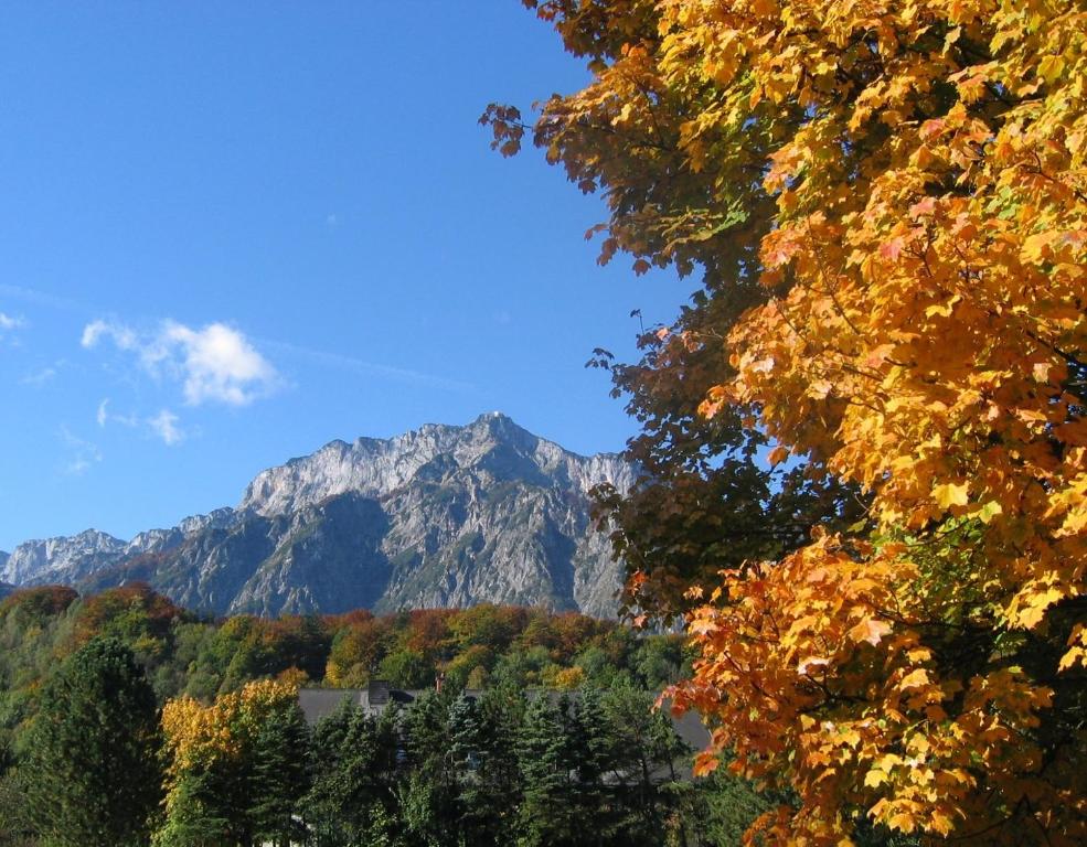 Paesaggio naturale nelle vicinanze dell'hotel