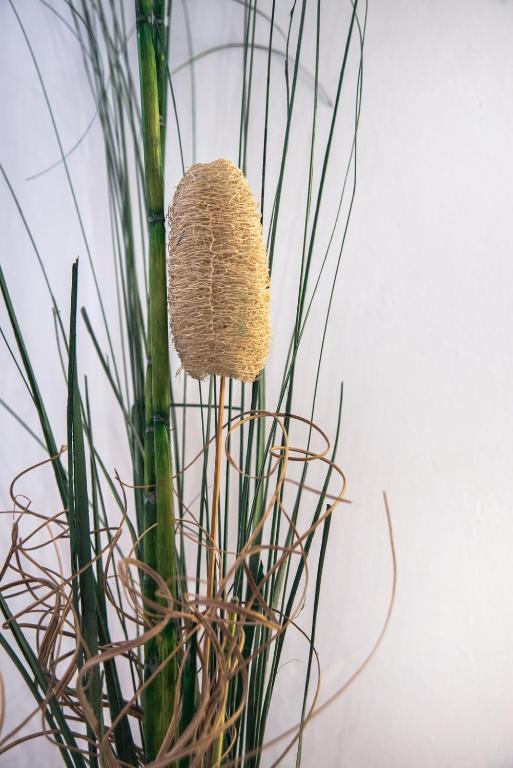 CA'SERENISSIMA - At 2mn of St Mark Square - 14