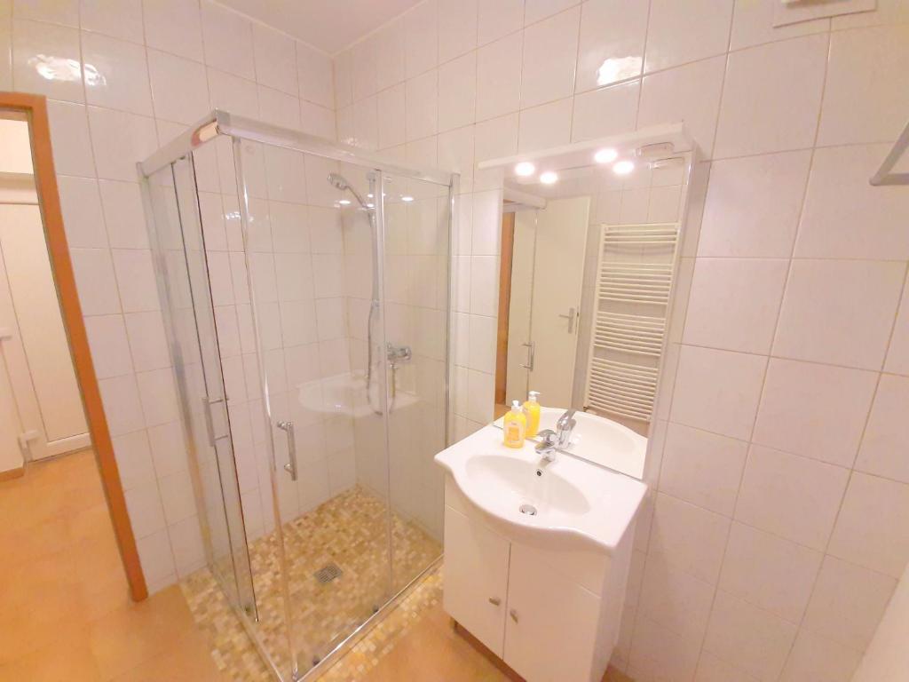 Kúpeľňa v ubytovaní Apartments SteelCity