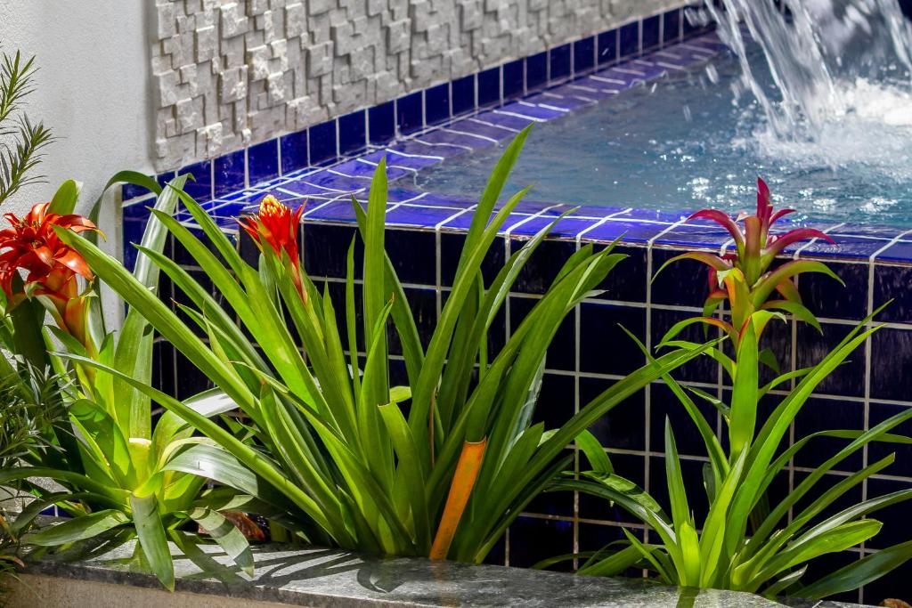  Calamar Flats Paraty