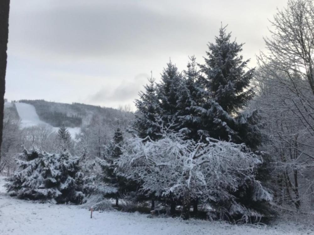 un grupo de pinos cubiertos de nieve en Sněženka, en Dolní Morava