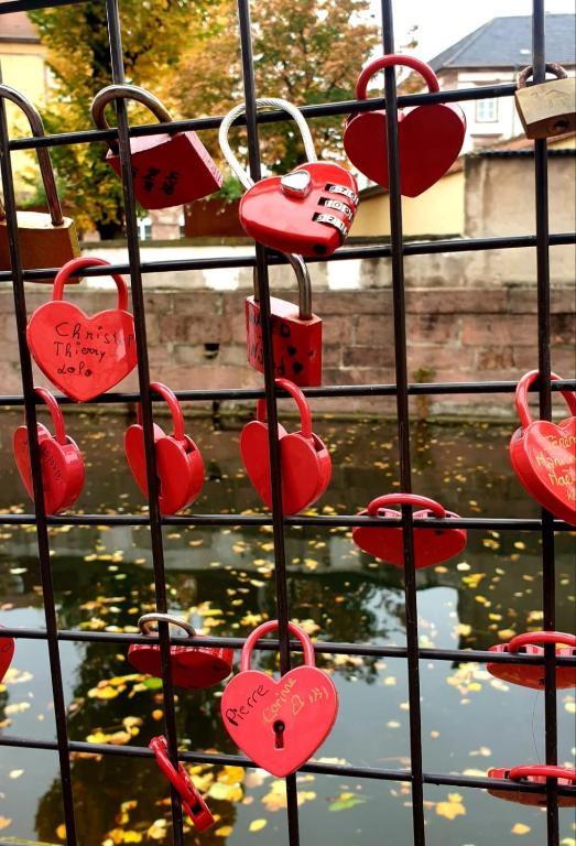 N¨°1 SCHONGAUER GITE DE CHARME CENTRE TOURISTIQUE COLMAR – photo 22