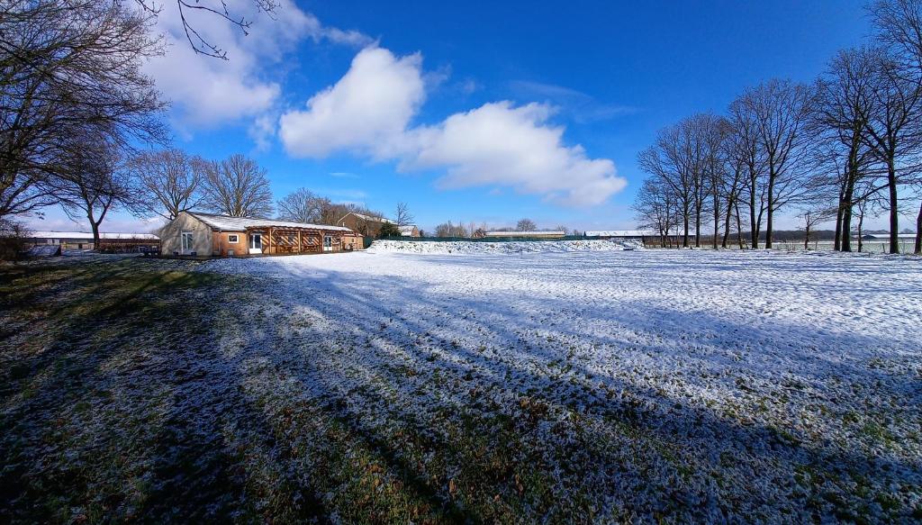 un campo cubierto de nieve con una casa en la distancia en De Maplerik en Oirlo