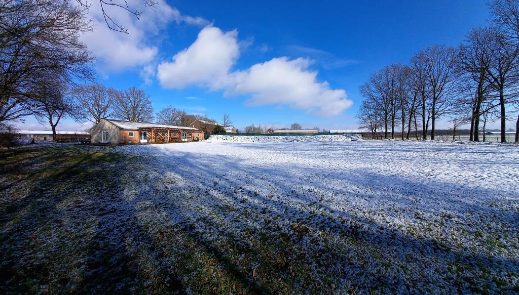 un campo cubierto de nieve con una casa en la distancia en De Maplerik, en Oirlo