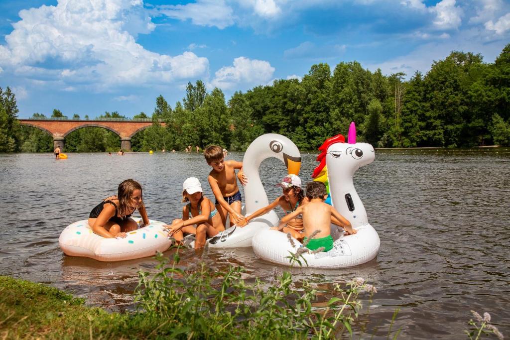 a group of children sitting on inflatable swans in the water at Camping de la Bageasse in Brioude