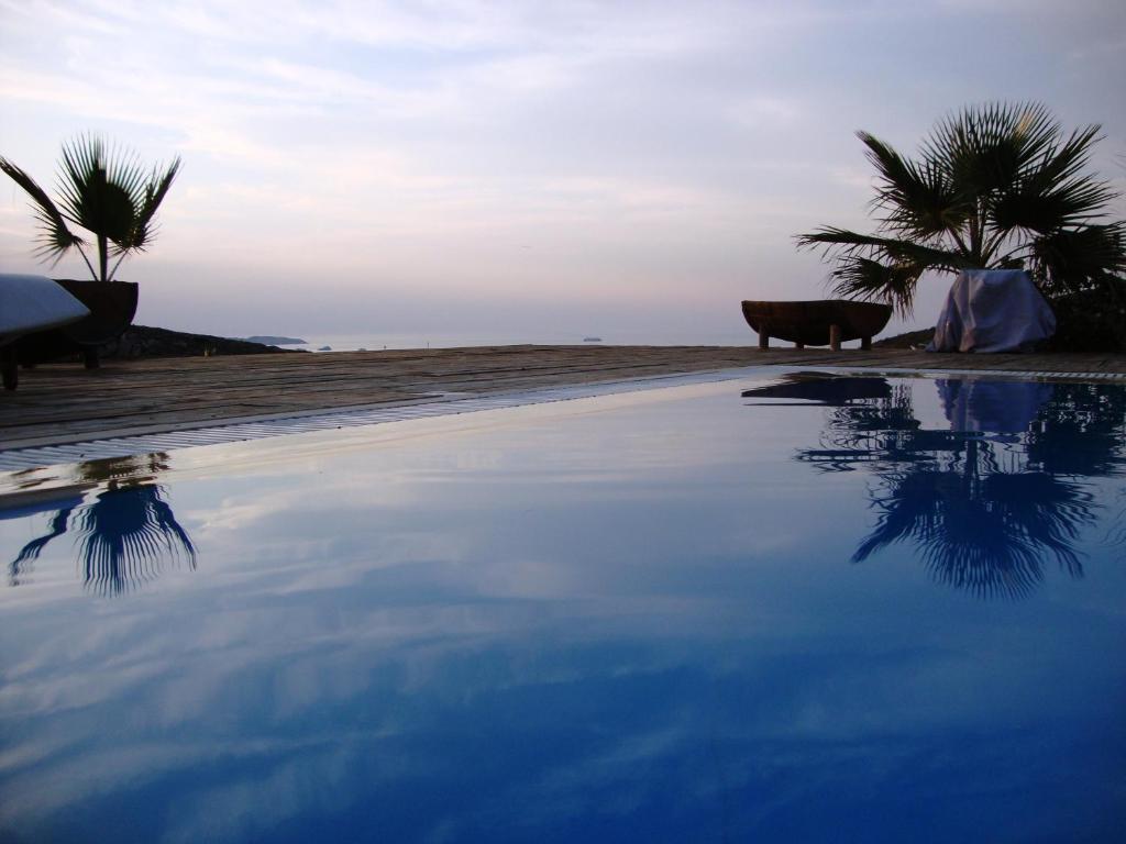 two cows standing on the beach near a pool of water at Argo-Milos in Adamantas