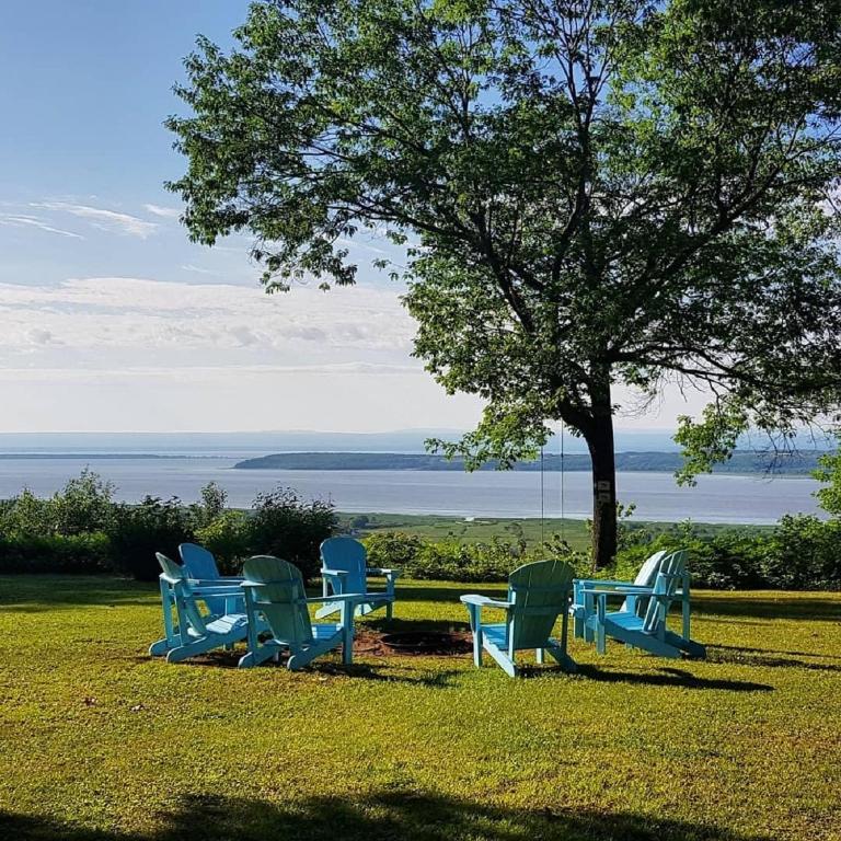 a group of blue chairs sitting in the grass under a tree at Les Chalets sur le Cap in Saint-Joachim