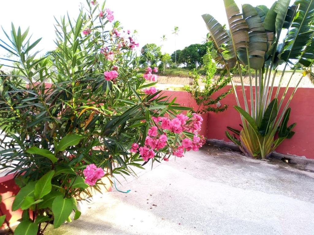  Residencial Vista Mar II