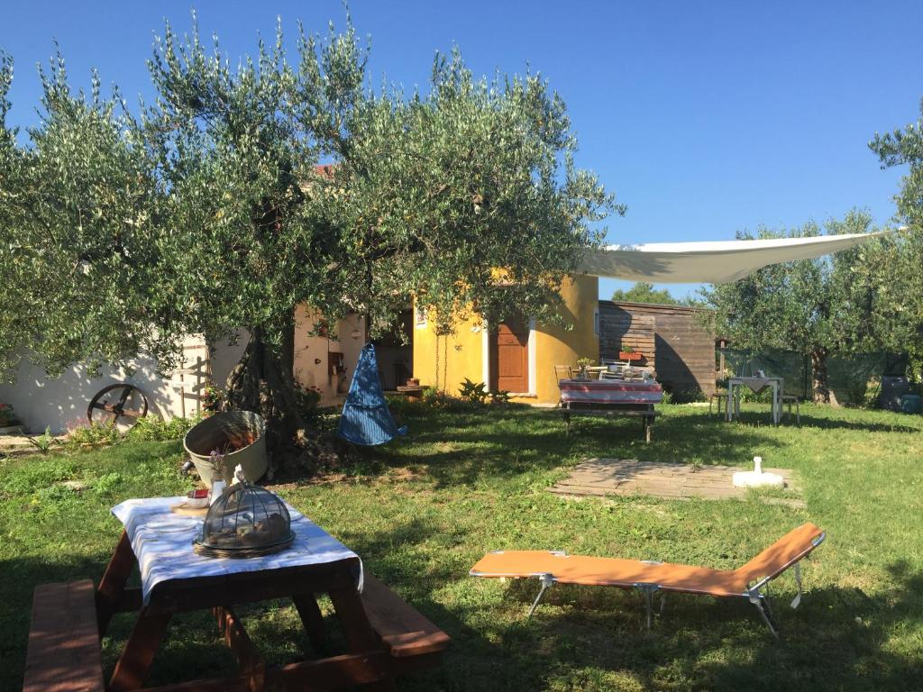 En have udenfor C'era una volta Podere San Giovanni