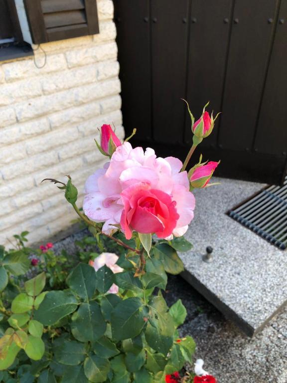 Zahrada ubytování Anitas B&B Stockholm/Vällingby