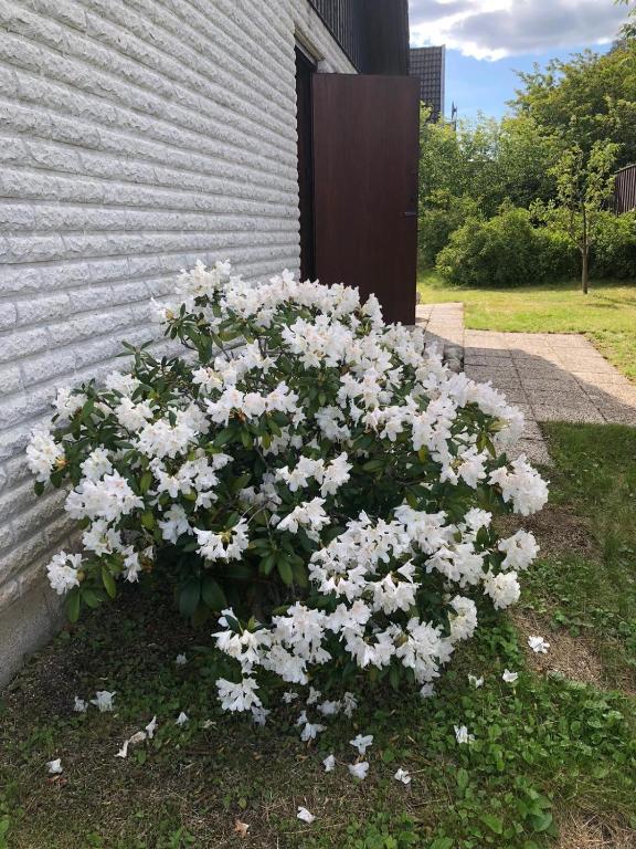 Zahrada ubytování Anitas B&B Stockholm/Vällingby
