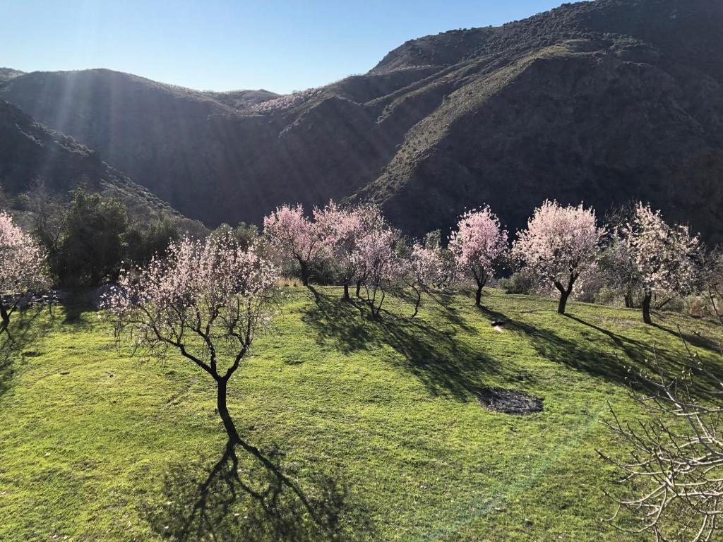 Casa Carmela, rural house with spectacular views, in an exquisite area - Дом с тремя спальнями