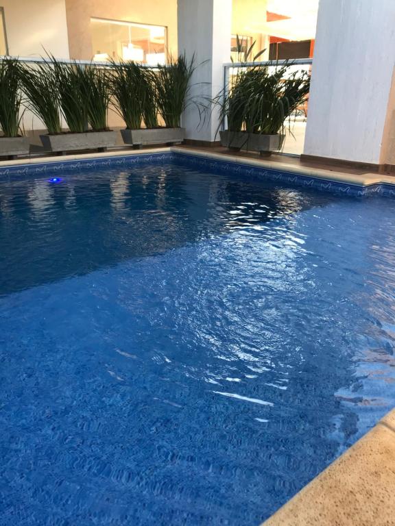  Apartamento C&K FLATBotanics Olímpia I