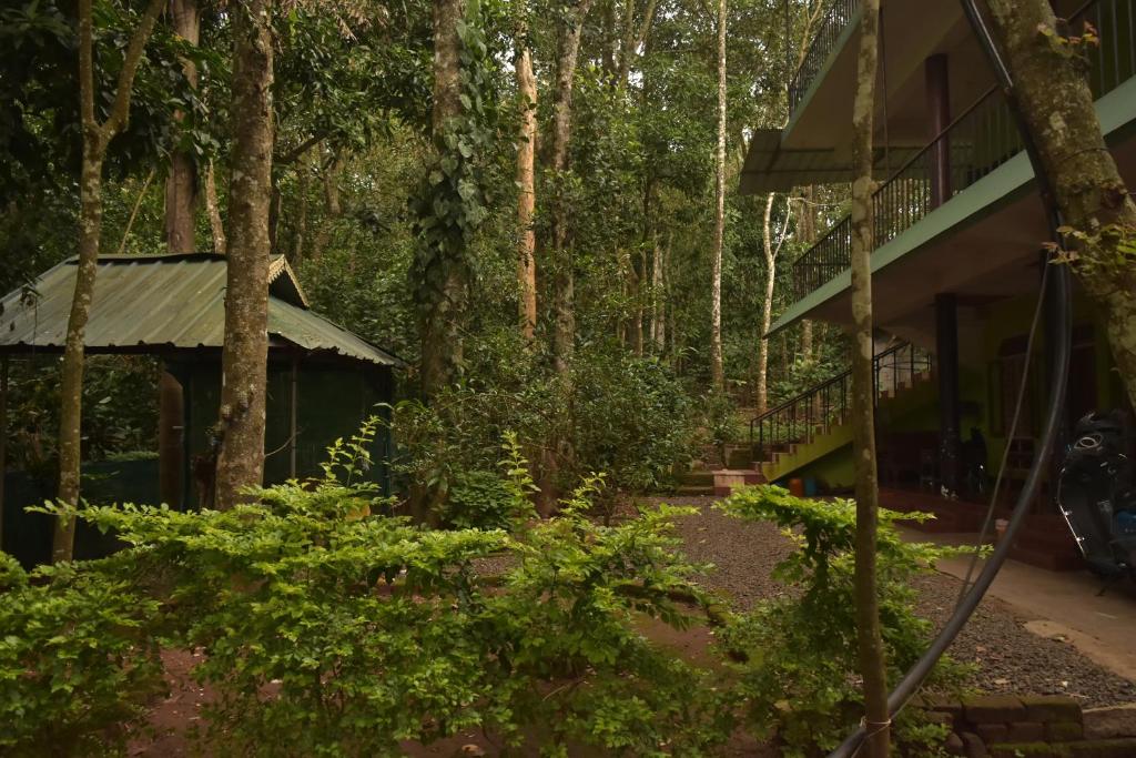 Zahrada ubytování Jungleview Home Stay