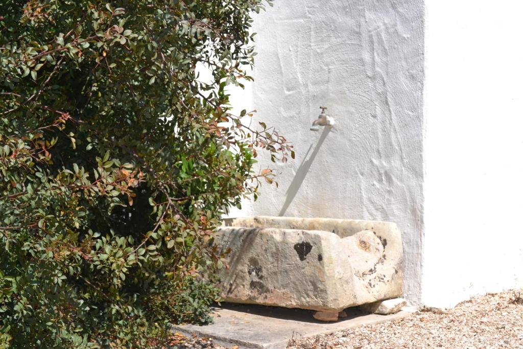Zahrada ubytování Masseria Caposella