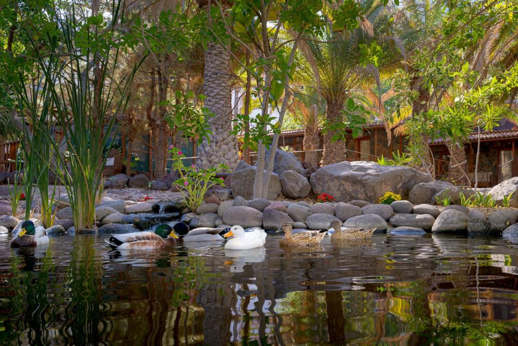 Un paisaje natural cerca of the country house
