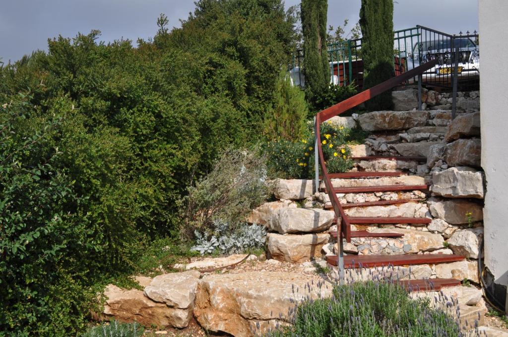 Fotografie z fotogalerie ubytování Shmulik Galilee v destinaci Lavon