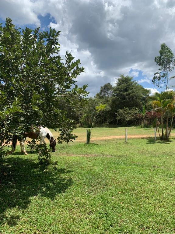  Espaço João Mineiro