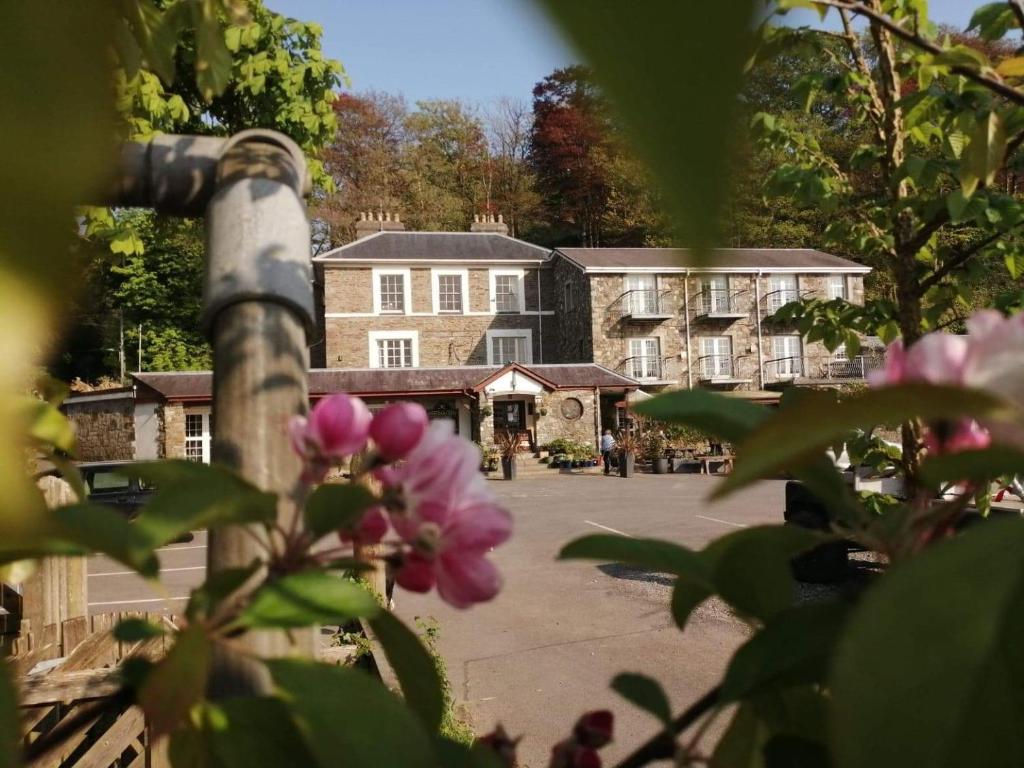 FerrysideにあるThree Rivers Hotelのピンクの花が咲く建物の景色