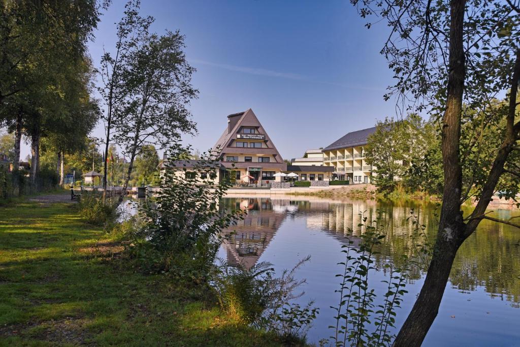 a large building sitting next to a lake at Hotel Haus Tiefenbach in Bullange