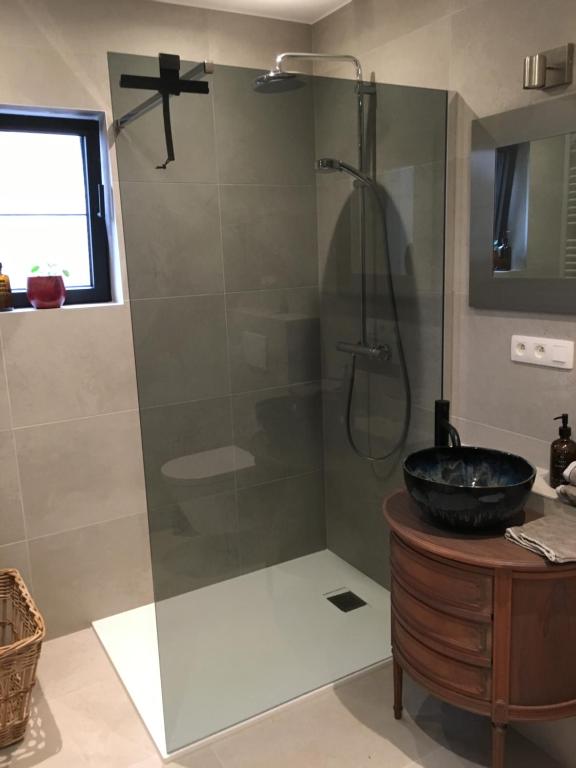 Koupelna v ubytování B&B Den Biesthoek