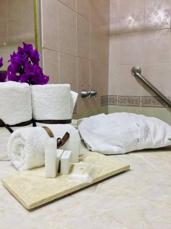 Koupelna v ubytování Hotel Real de Minas Tradicional