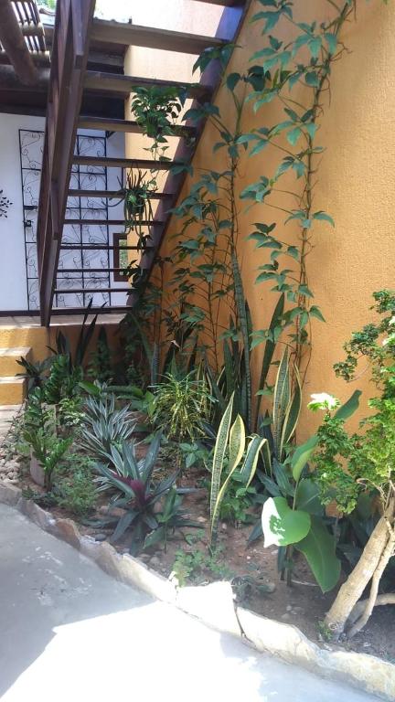  A casa da Coruja