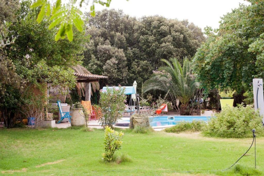 un patio con piscina y una casa en Big relax apartment with swimming pool and a peaceful garden in a private villa en Sestu