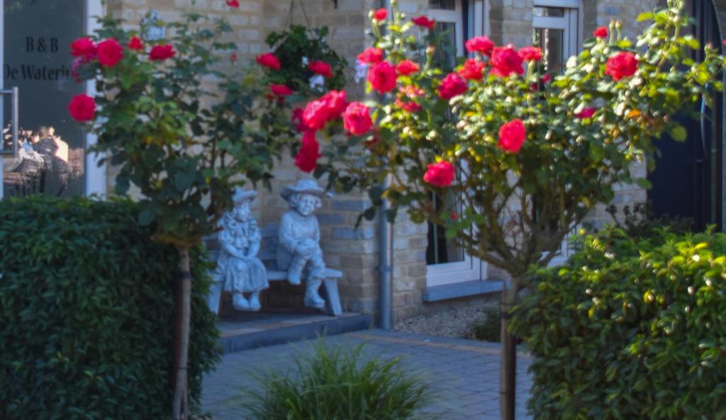 Zahrada ubytování B&B De Watering