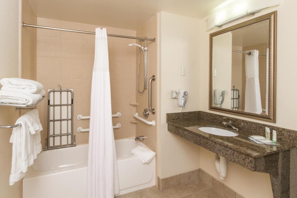 Staybridge Suites Buffalo by IHG - Suite Con Una Camera Da Letto - Accesso Disabili