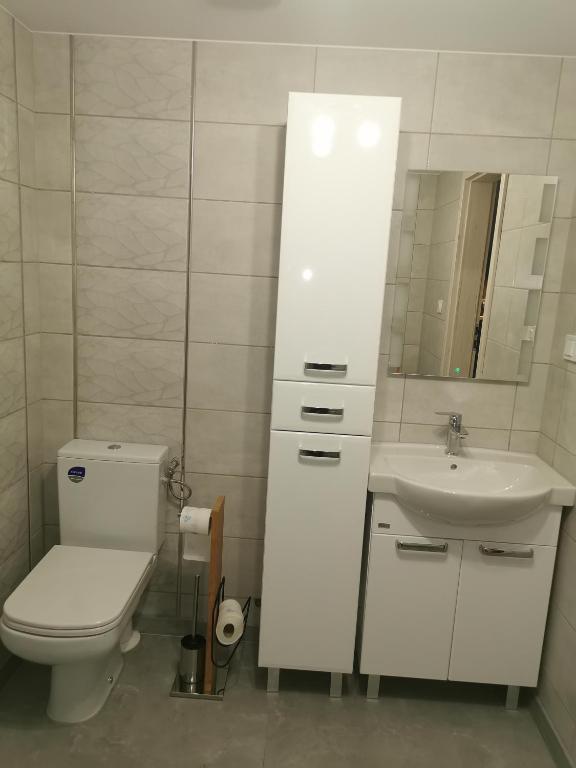 Kúpeľňa v ubytovaní Nad Strumykiem max