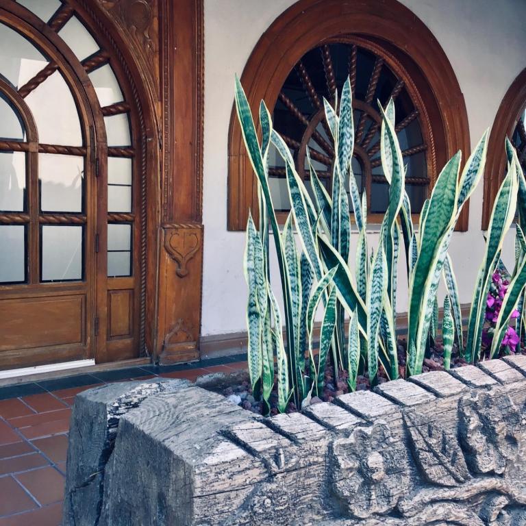 Zahrada ubytování Hotel Real de Minas Tradicional
