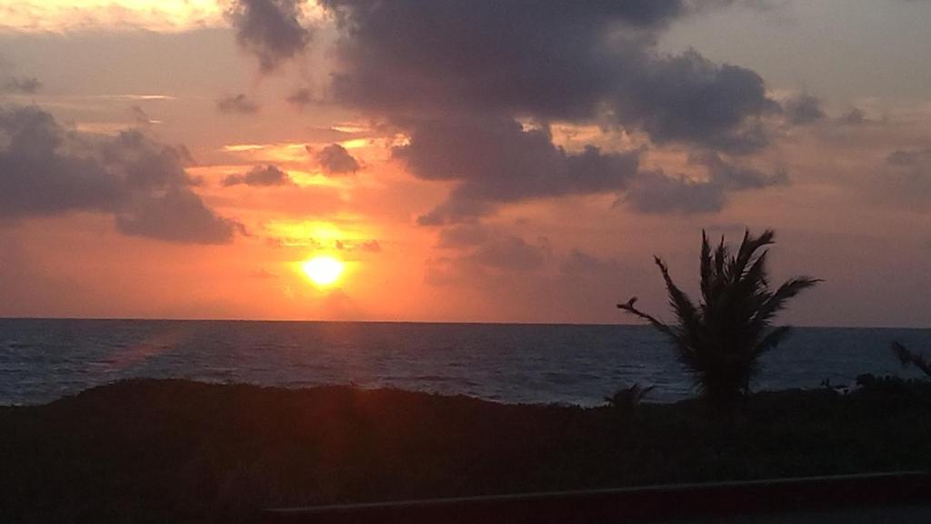  Luz do Sol - SPA & Yoga Beira-Mar