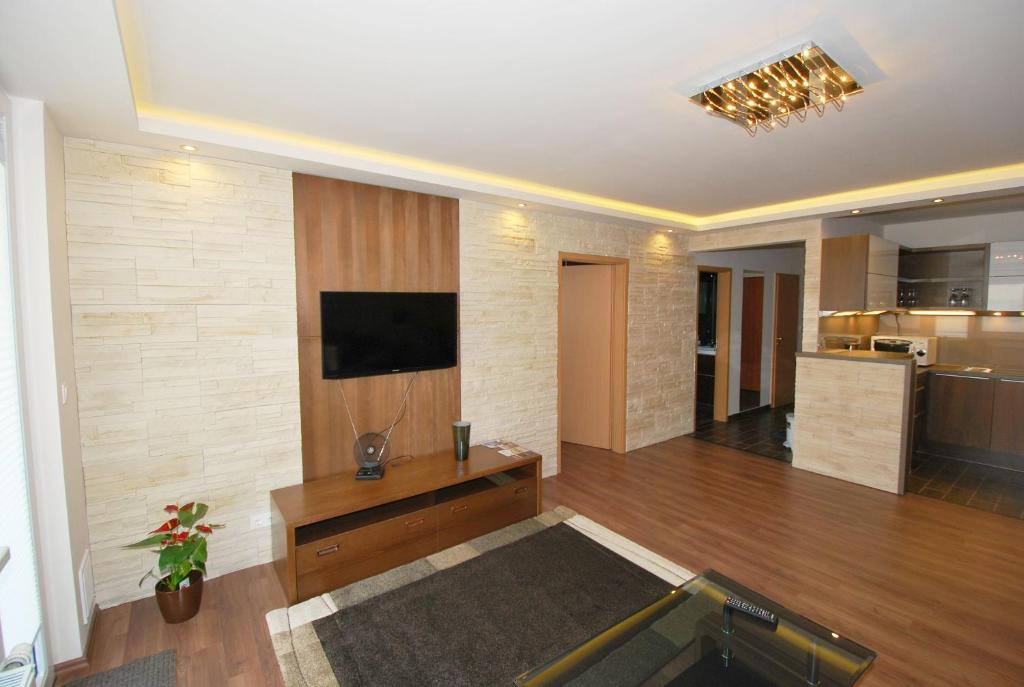 TV a/nebo společenská místnost v ubytování Arpad Bridge Apartments