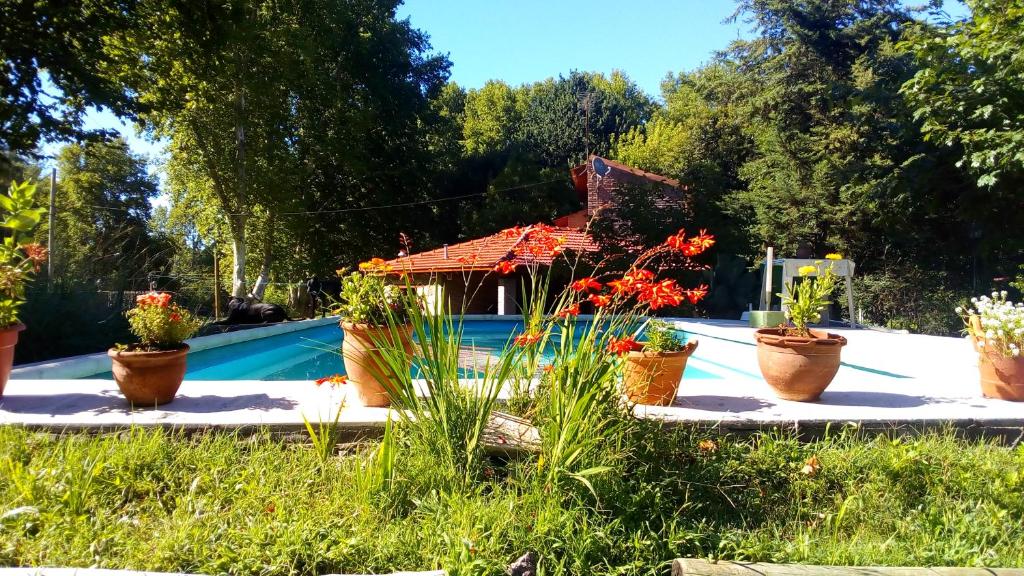 Cabañas los Plátanos