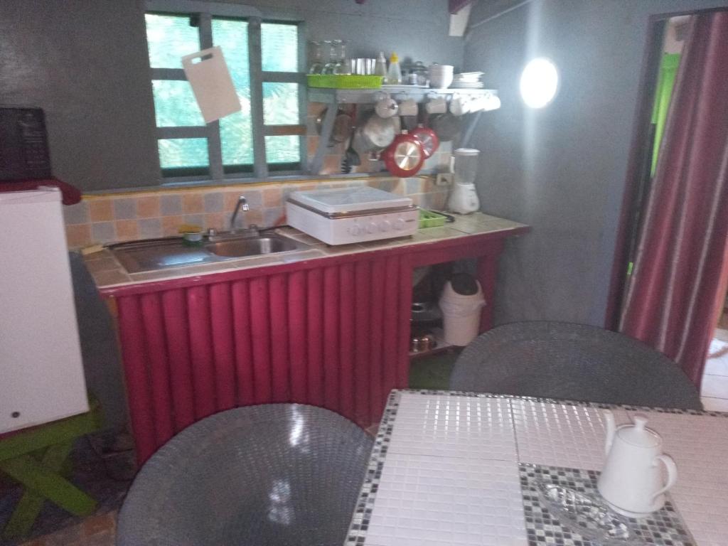 Kuchyň nebo kuchyňský kout v ubytování CHEZ NOUS