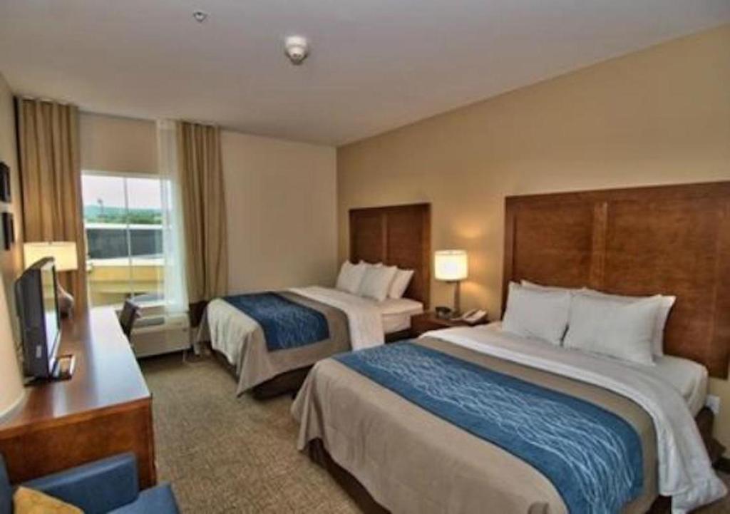 Comfort Inn Apalachin - Binghamton W Route 17 photo