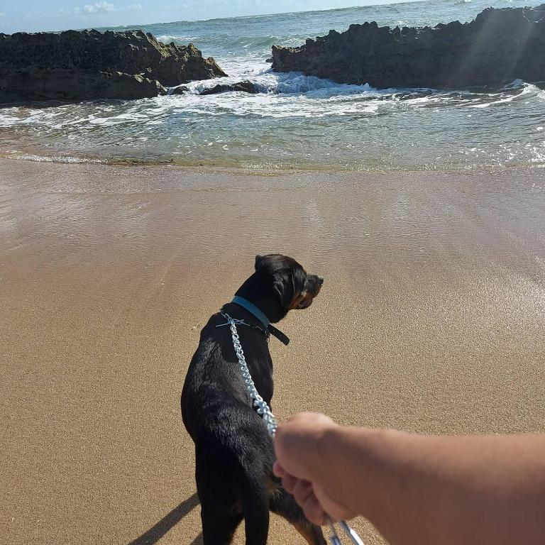  Chalés Beira Mar Paradise