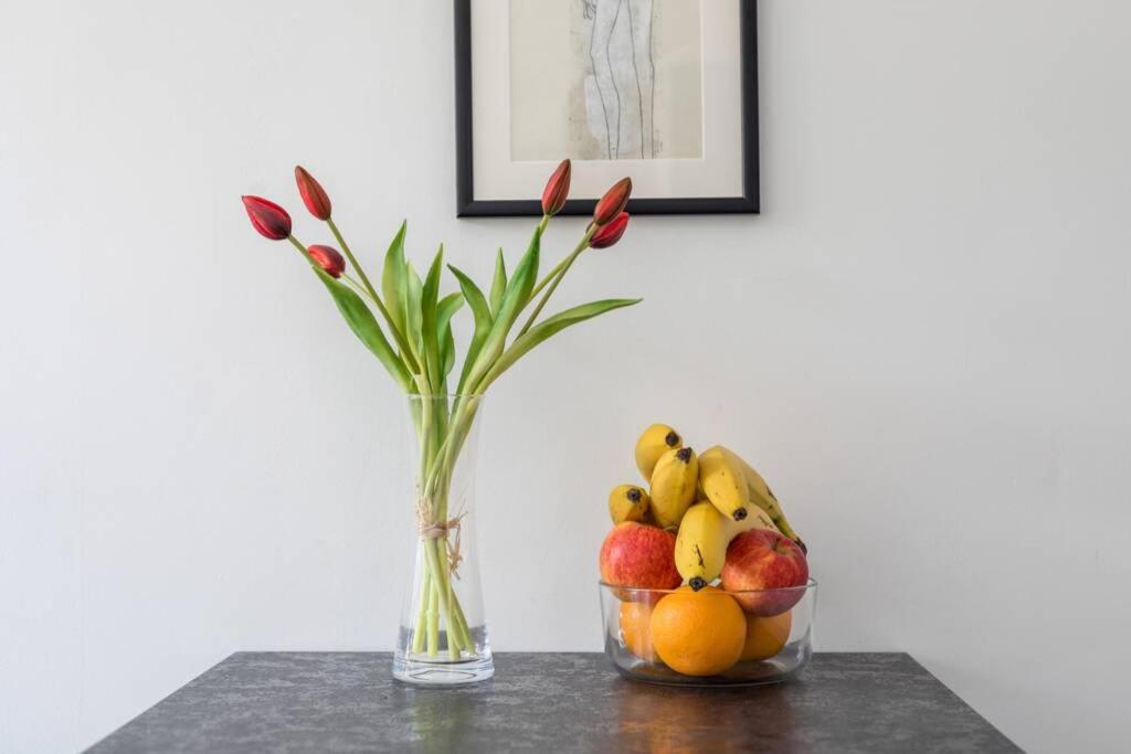 Fotografie z fotogalerie ubytování Banana Split Youth Apartment ve Splitu