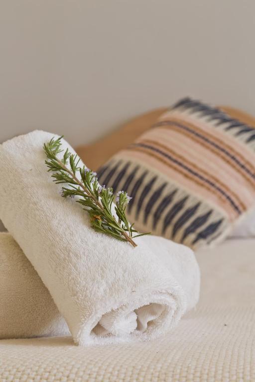 a towel with a plant on top of a bed at Kalimera Karpathos Exclusive Villas in Afiartis