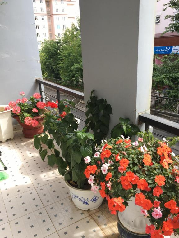 Zahrada ubytování Thien Phu Guesthouse Dalat