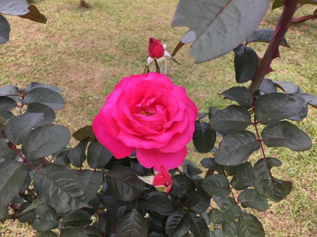  Casa/sítio na serra em Bom Jardim - RJ