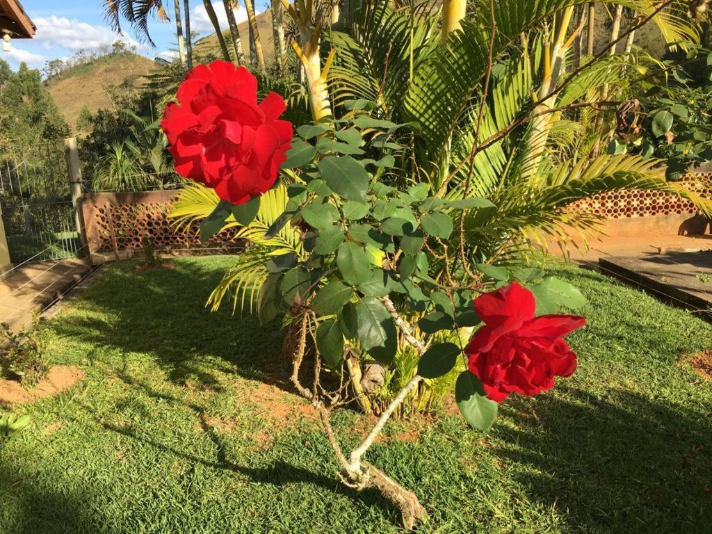  Casa/sítio na serra em Bom Jardim - RJ