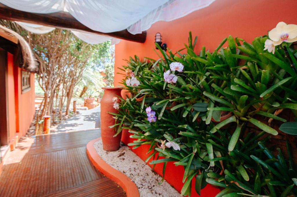  Azeda Boutique Hotel